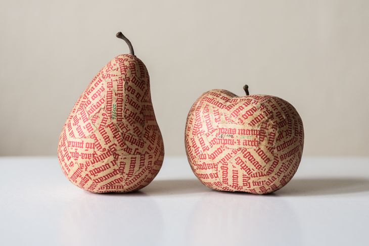 Jablko a hruška - 1